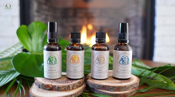 L’Ensemble Sublime