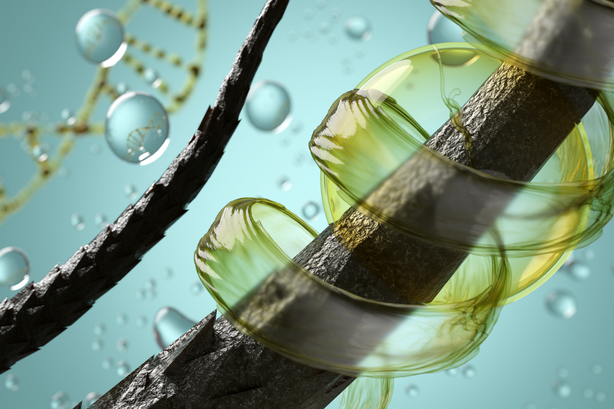 Crüe cheveux montrant des signes de dommages et de sécheresse