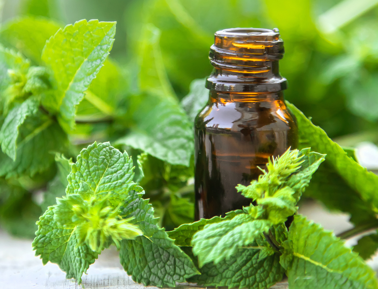  ingrédients véganes et naturels de l’huile de rinçage Gaia Crüe